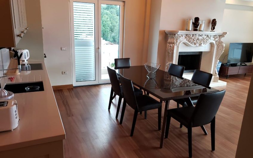 Luxury Penthouse for Rent near Elbasani Street
