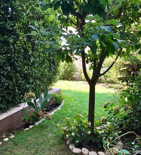 Stylish Vila for Sale