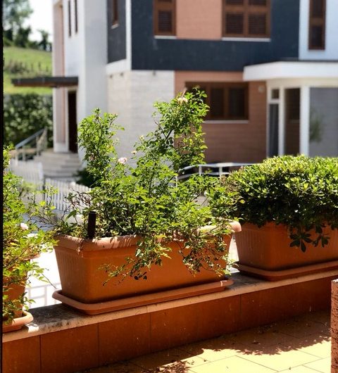 Stylish Vila for Sale