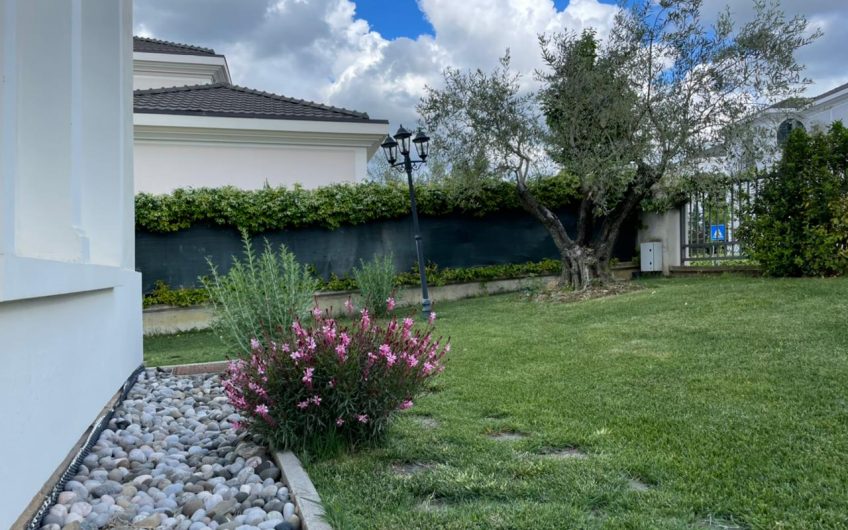 Luxury Villa for Rent