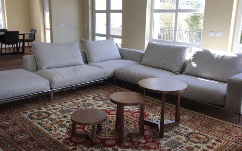 Special Villa For Rent