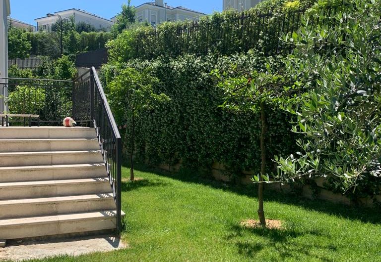 Special Villa For Rent