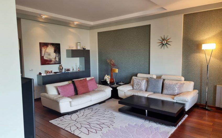 Beautiful Apartment in Downtown