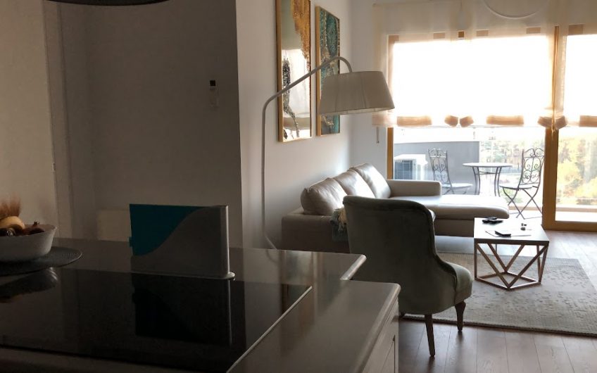 Stylish Apartment in DownTown