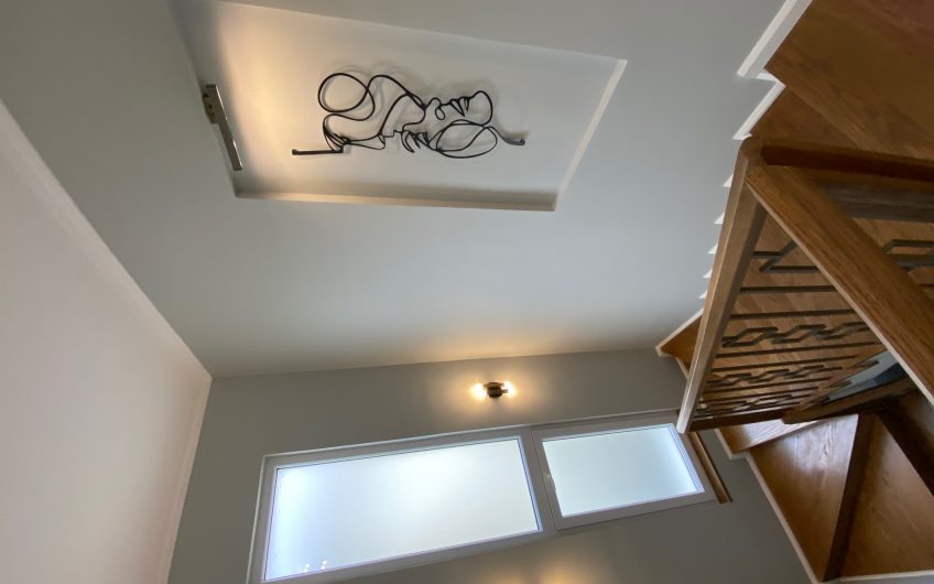 Fully Furnished Villa/ medium size/ for rent in a new residential compound