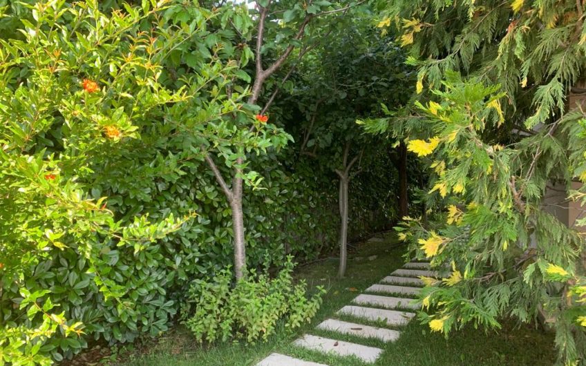 Beatiful Villa for Rent