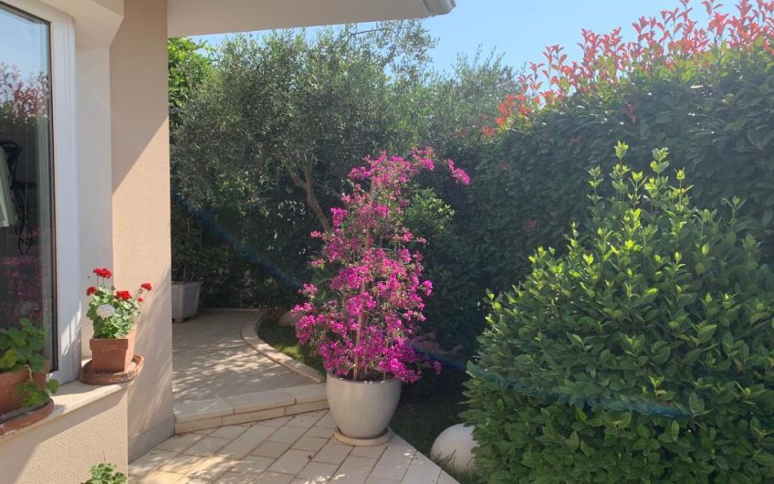 Beatiful Villa for Rent