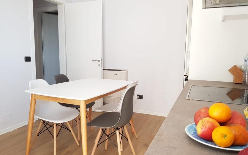 RENOVATED APARTMENT 2+1  RRUGA E KAVAJES 1000 EURO